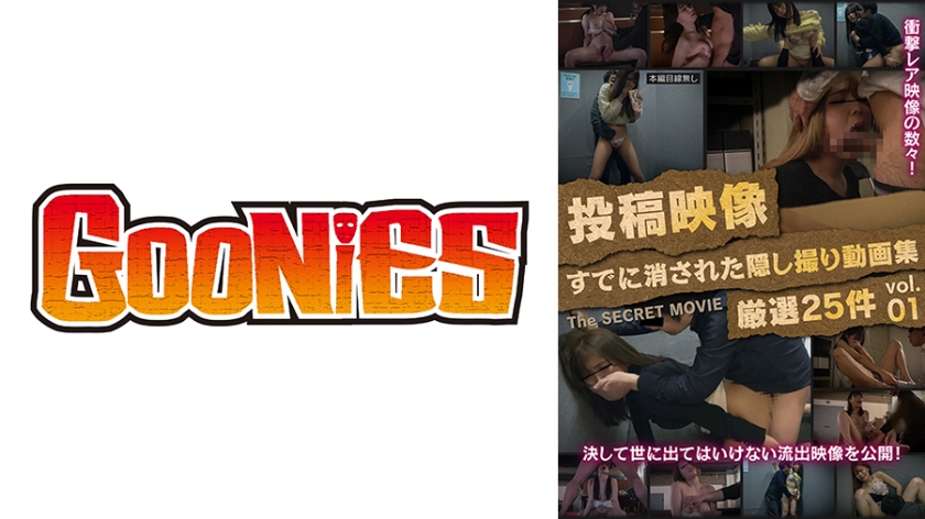 投稿映像 すでに消された隠し撮り動画集 厳選25件 vol.01
